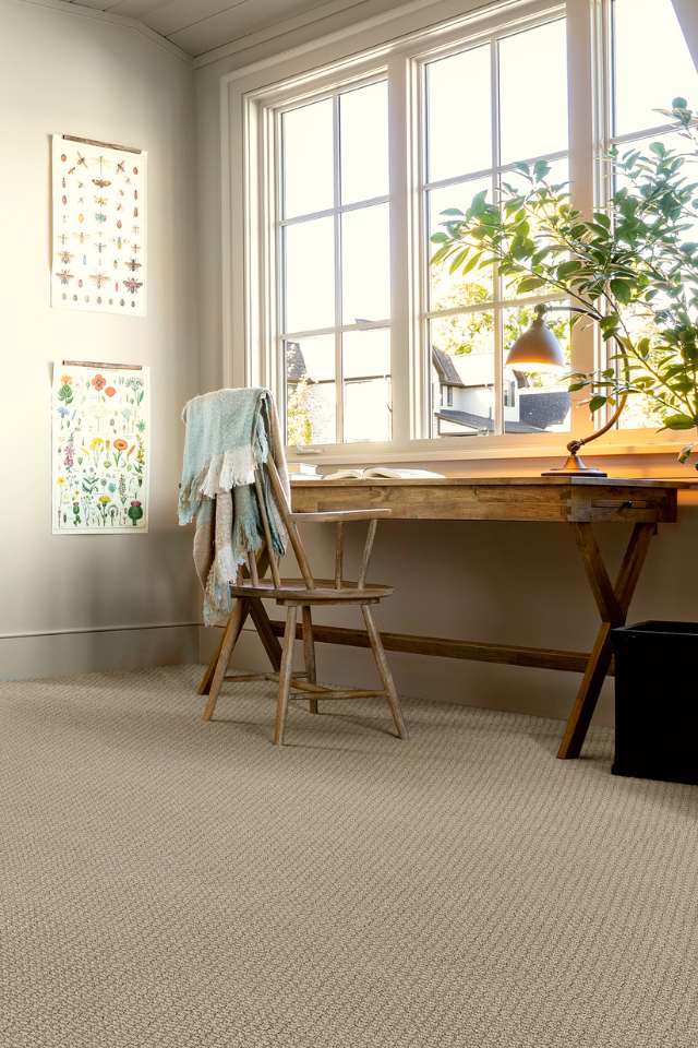 textured beige carpet in rustic home office with big windows and natural light